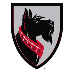 Carnegie Mellon Athletics logo